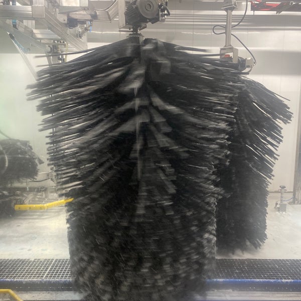 Mr. Clean Car Wash East Cobb 12 tips