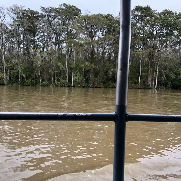 Photos at Cajun Encounters Honey Island Swamp Tour Slidell, LA