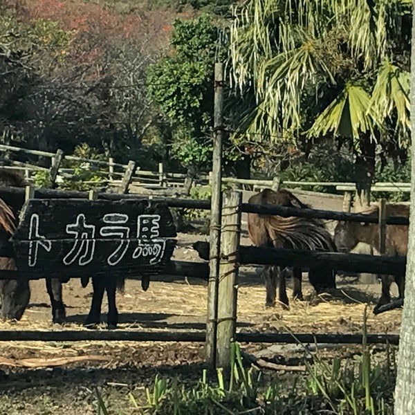 Photos At 開聞山麓自然公園 指宿市 鹿児島県