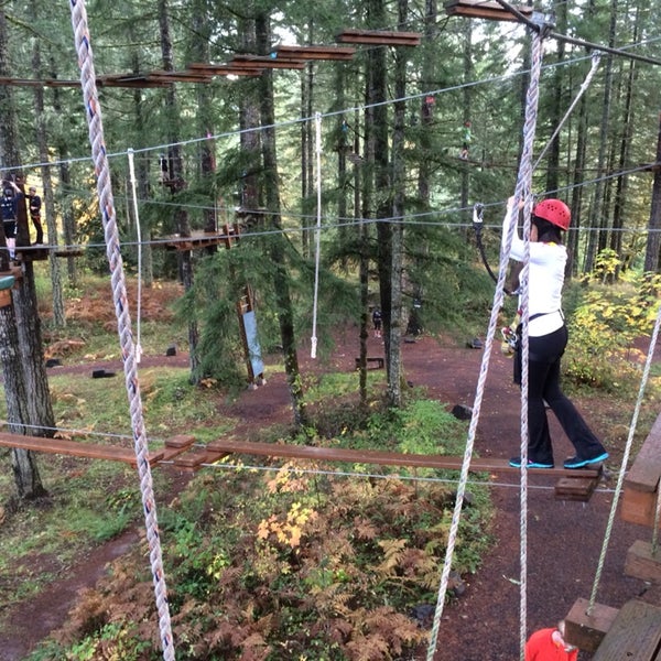We came here on a company team building experience. It was a lot of fun. Courses vary in difficulty but everyone can find a challenge and enjoy the day.