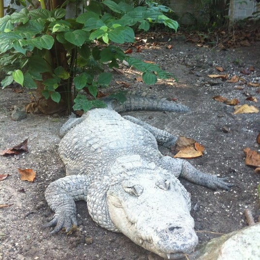 Foto tomada en Crococun Zoo  por Kelly M. el 12/16/2012