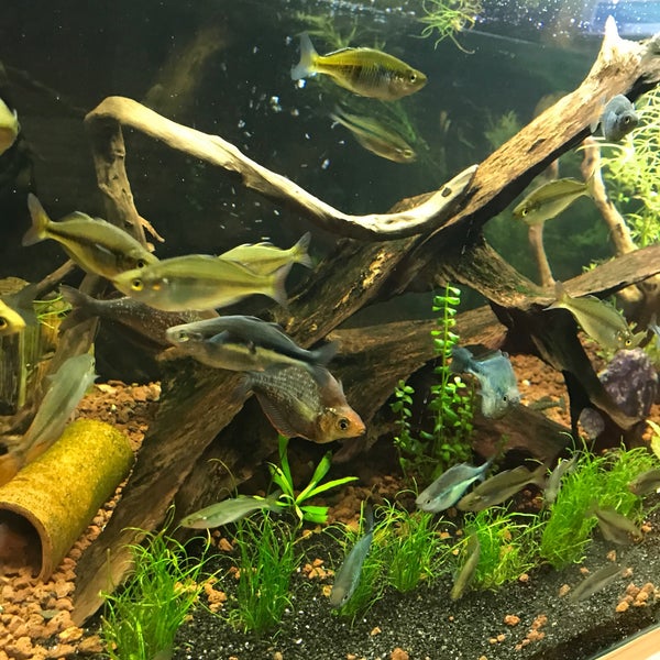 acgozlu mikrodalga civildamak sah hali saha krishnahospitaldhorimanna com