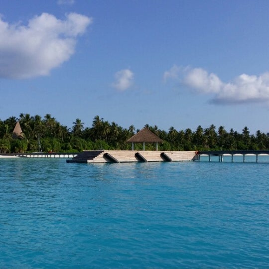 Maalifushi