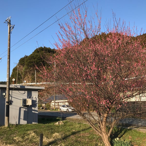 Photos At 日向長井駅 Hyuga Nagai Sta 延岡市 宮崎県