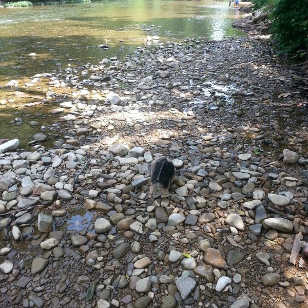 Greenhill Park 257 visitors