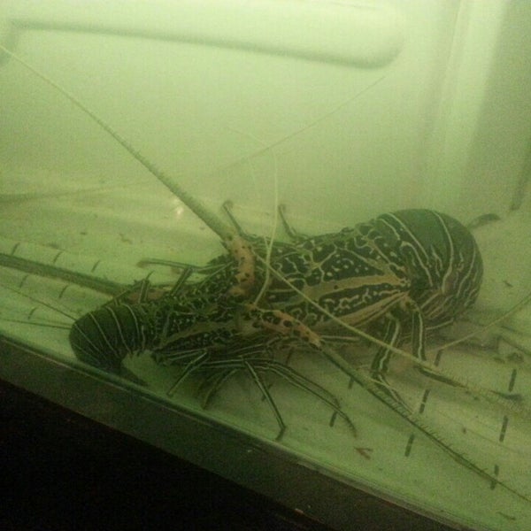 La Mer Rouge Djibouti Restaurant 15 tips