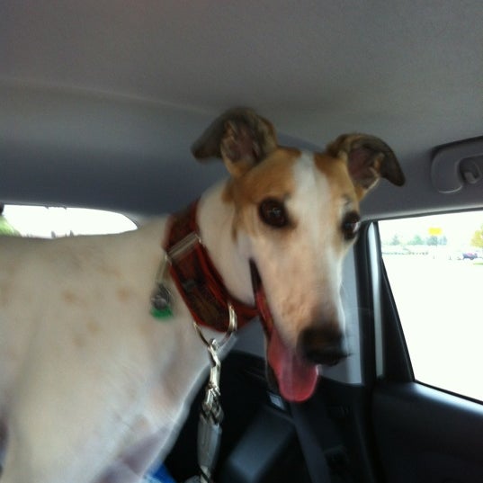 petsmart bunker hill