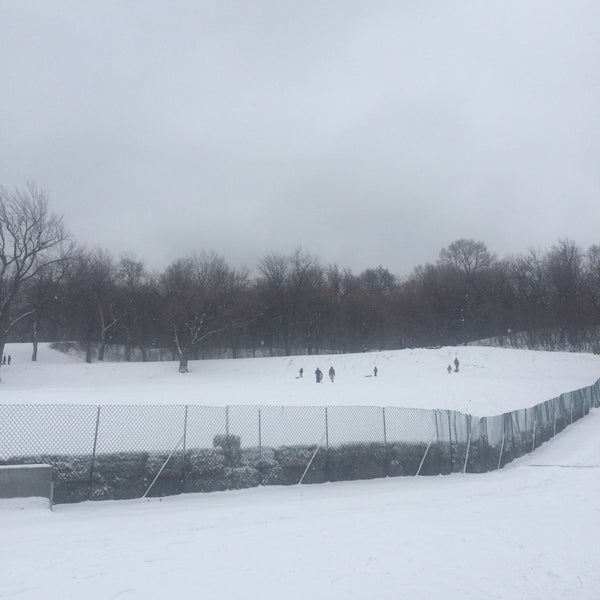 Avenue du Parc / Park Avenue MileEnd Avenue du Parc / Park Avenue
