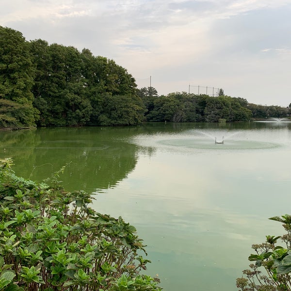 等々力緑地 釣池 中原区 0 Tips 等々力緑地 釣池 中原区 0 Tips