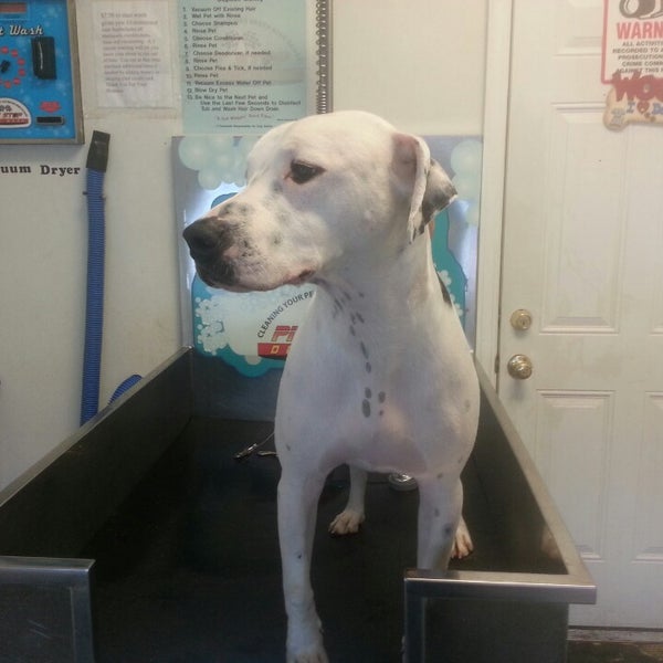 Self Service Dog Wash Johnson City, TN