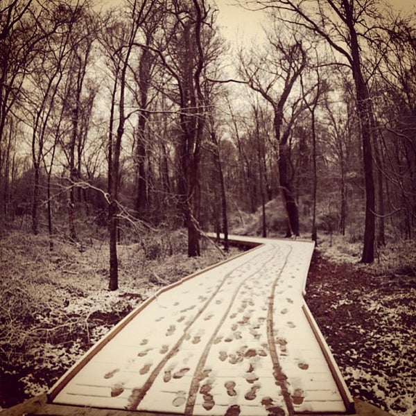 Wolf River Trails Germantown, TN