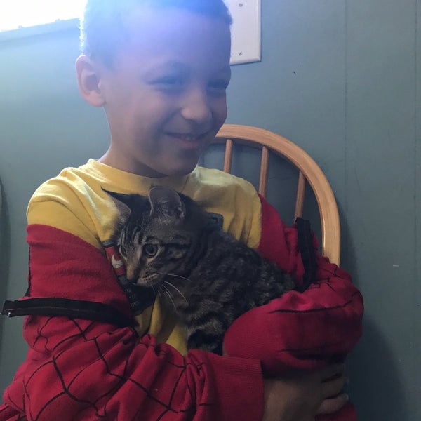 Texas Humane Heroes 10930 E Crystal Falls Pkwy