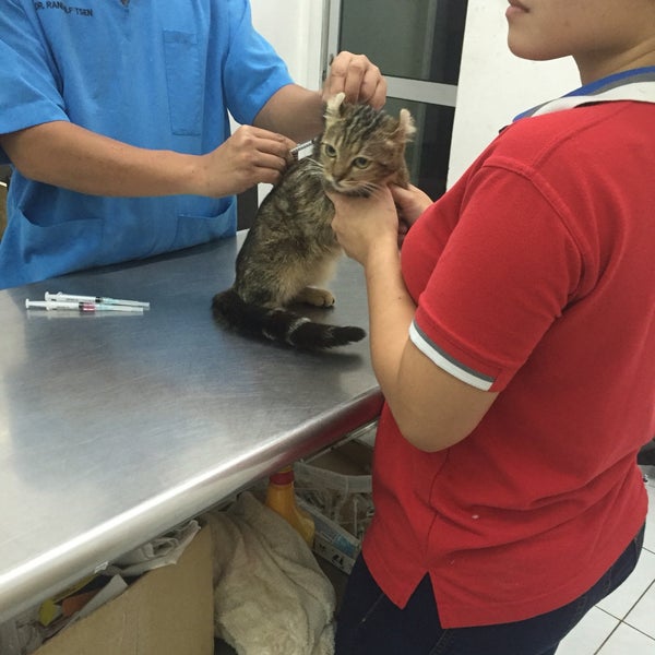 Animal Central Veterinary Clinic - Jalan Tabuan