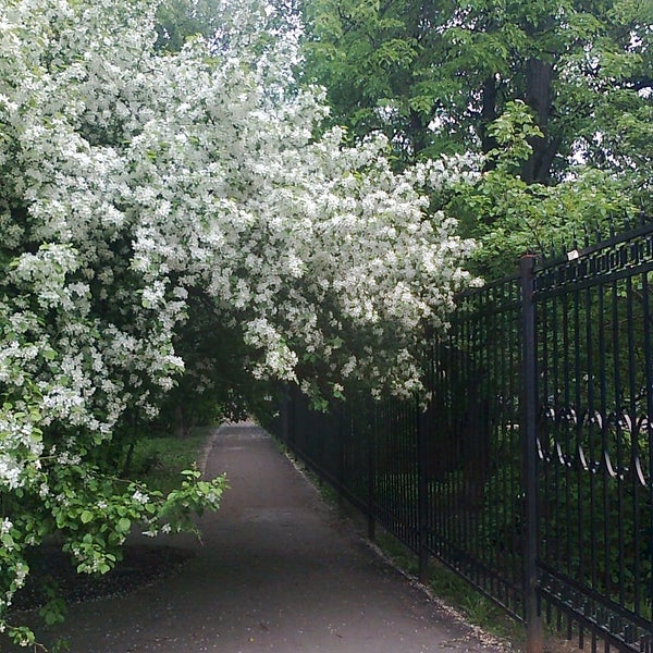 Парк питомник