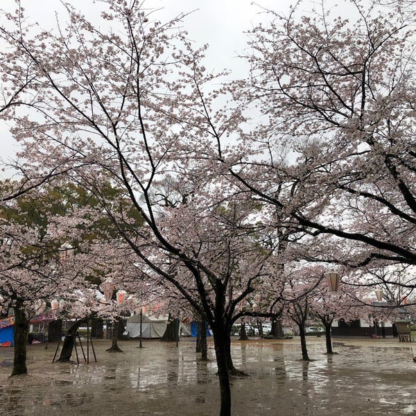 亀山公園 日田市 大分県 亀山公園 日田市 大分県