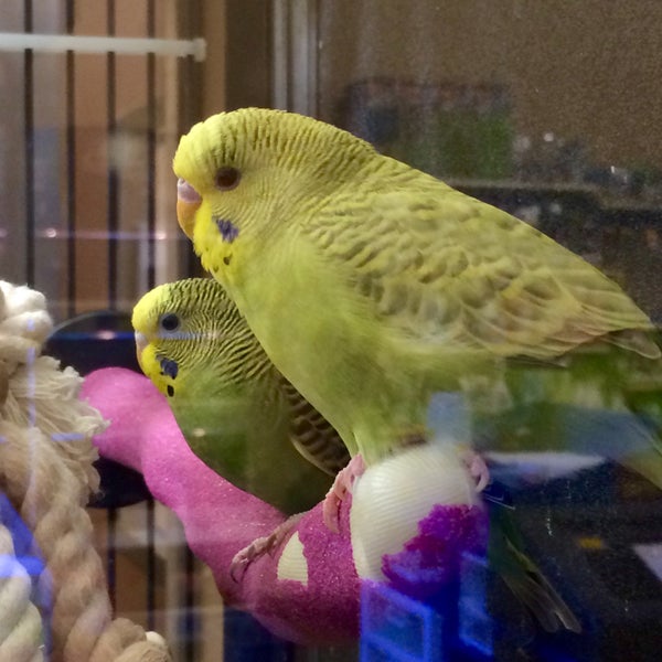 PetSmart Pet Supplies Store in Richmond