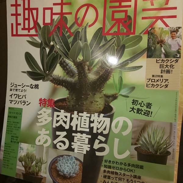 くまざわ書店 176人の訪問者 から 1つのtip 件