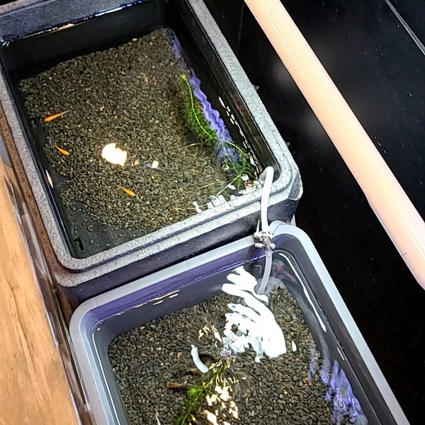 Photos At ホームセンター コーナン 橿原香久山店 膳夫町532 1