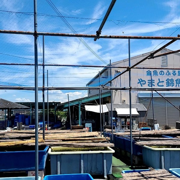 Photos At 金魚のふる里 やまと錦魚園 郡山金魚資料館 大和郡山市 奈良県