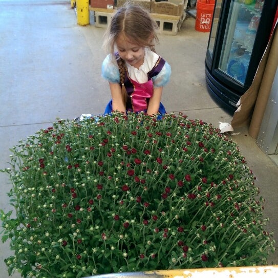 The Home Depot Chesterfield、MI