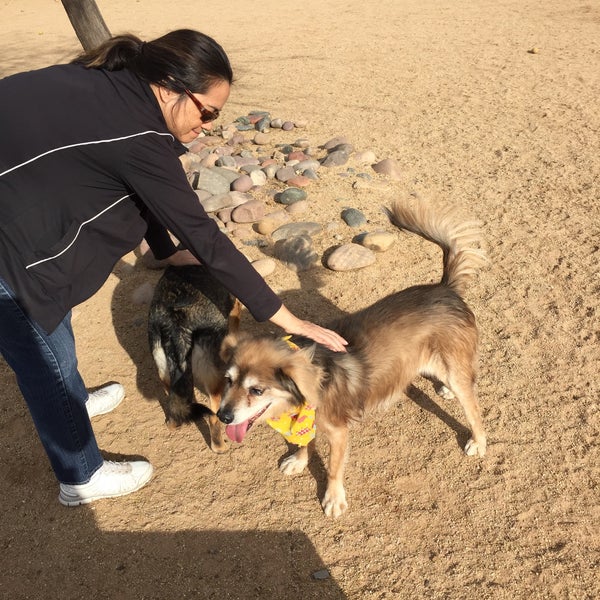 Photos at Udall Dog Park Dog Park in Tucson
