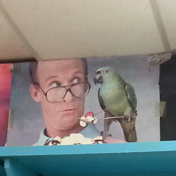 feed rite pet shop & supply