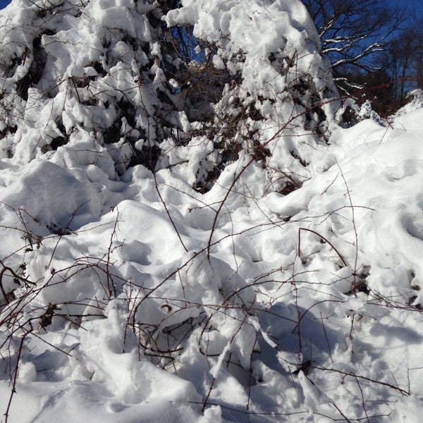 Photos at Vienna Dog Park Dog Park in Vienna