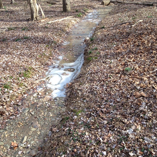 Photos at Vienna Dog Park Dog Park in Vienna