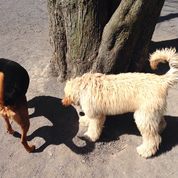 Photos at Vienna Dog Park Dog Park in Vienna