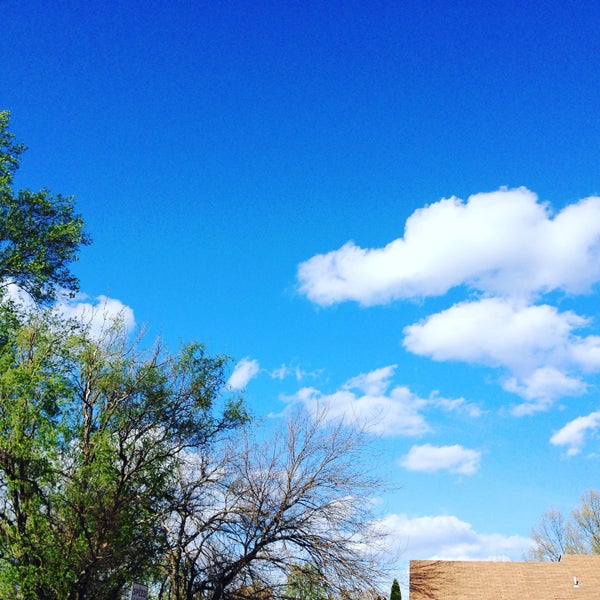 Photos at Vienna Dog Park Dog Park in Vienna