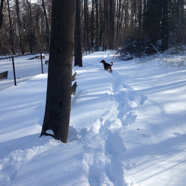 Photos at Vienna Dog Park Dog Park in Vienna