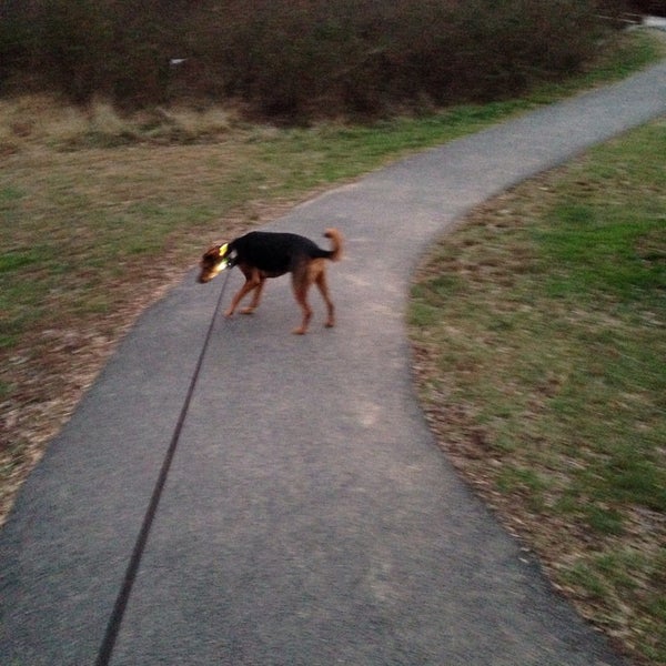 Photos at Vienna Dog Park Dog Park in Vienna
