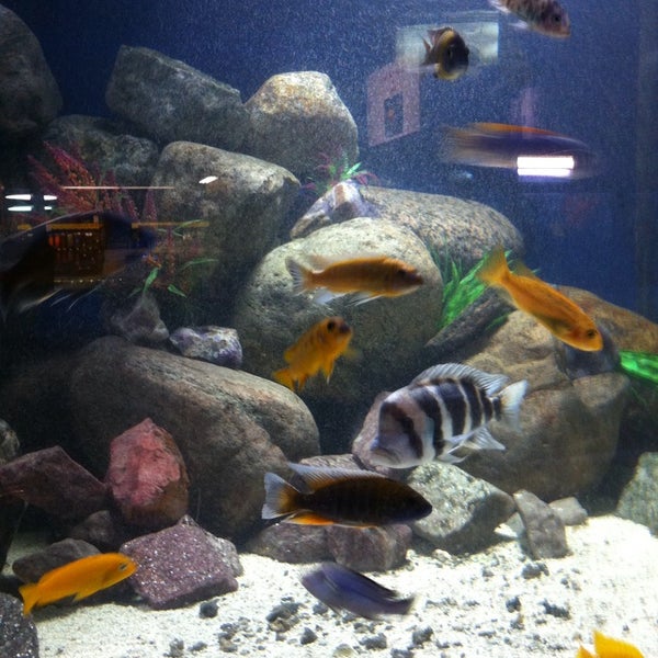 Fotos en Big Al's Aquarium Services 1900 Innes Road