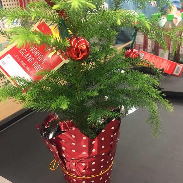 Photos at Longs Drugs Pharmacy in Kaneohe