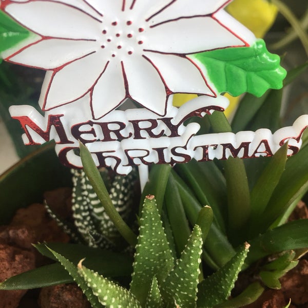 Photos at Longs Drugs Pharmacy in Kaneohe