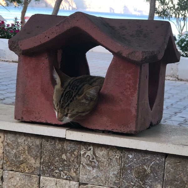 Photo prise au Ceneviz Hotel par Senay Ö. le9/5/2018