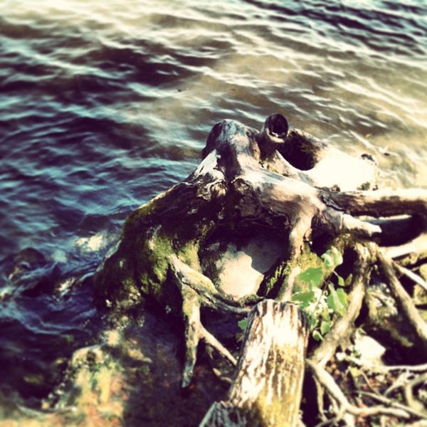 Photos at Charles Rider Park - Kingston, NY
