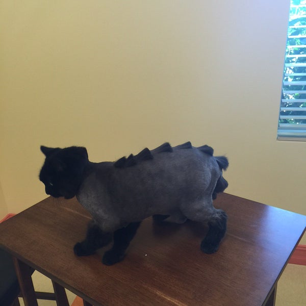 bubbles grooming salon