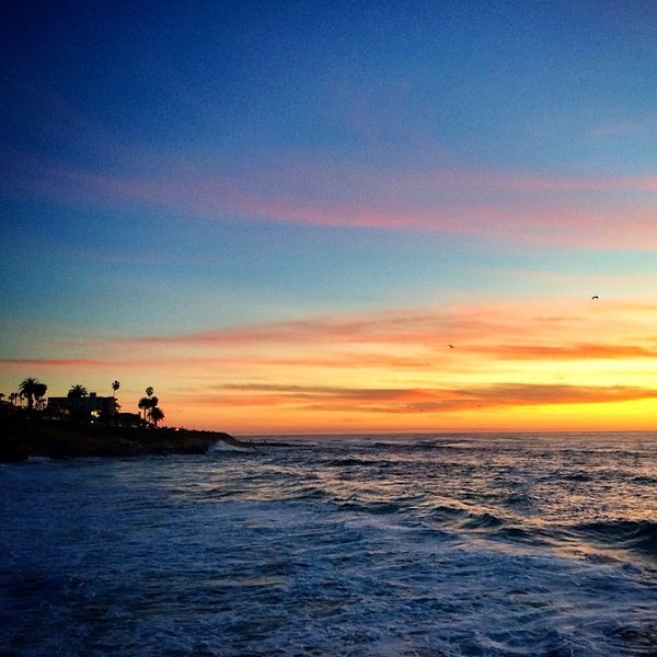 Palomar Specialty Insurance Reviews Digitalflashnyc