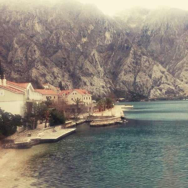 Амир ораховац