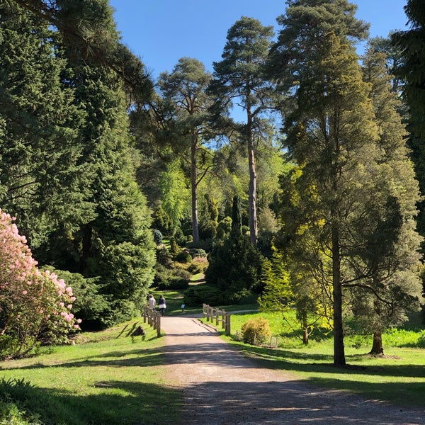 Bedgebury National Trail