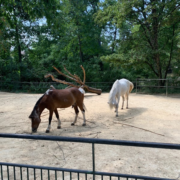 Das Foto wurde bei Zoo Basel von Zeki A. am 7/21/2020 aufgenommen