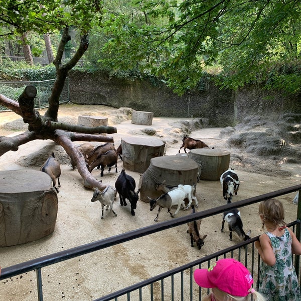 Photo taken at Zoo Basel by Zeki A. on 7/21/2020