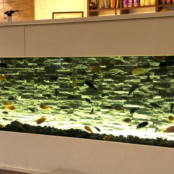 Photos at Wasabi Sushi Bar Sushi Restaurant in Trnava