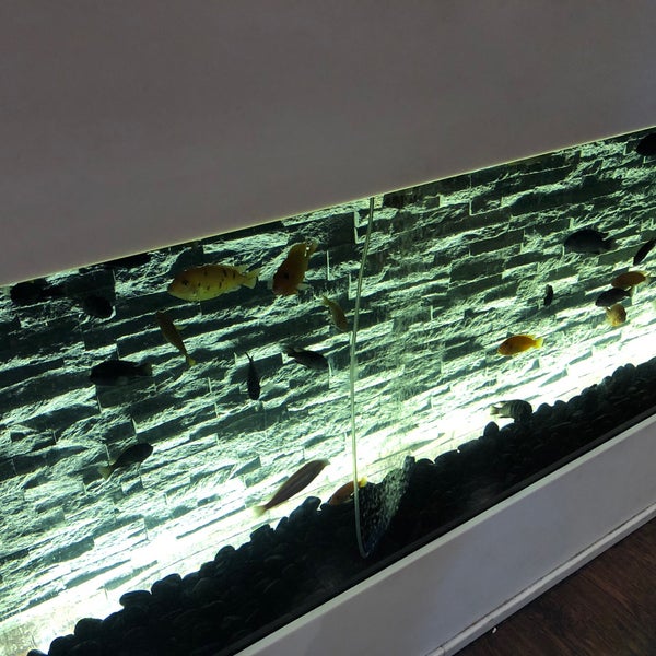 Wasabi Sushi Bar Trnava'da Suşi Restoranı