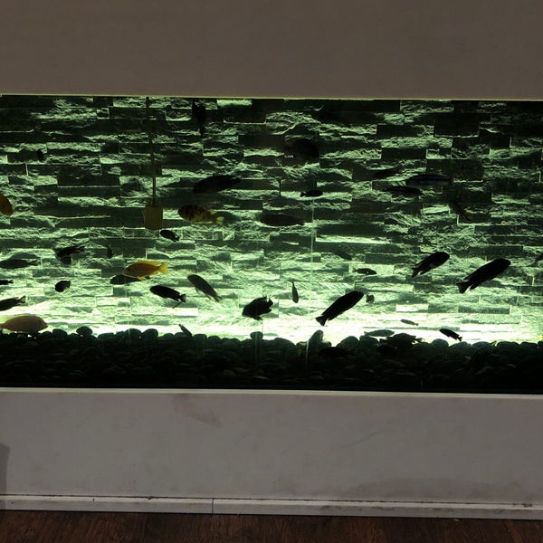 Photos at Wasabi Sushi Bar Sushi Restaurant in Trnava