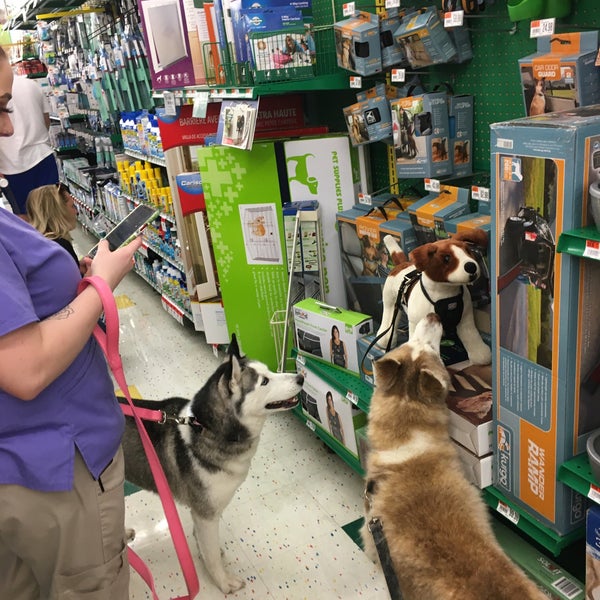 K9 pet supply on warren 2025