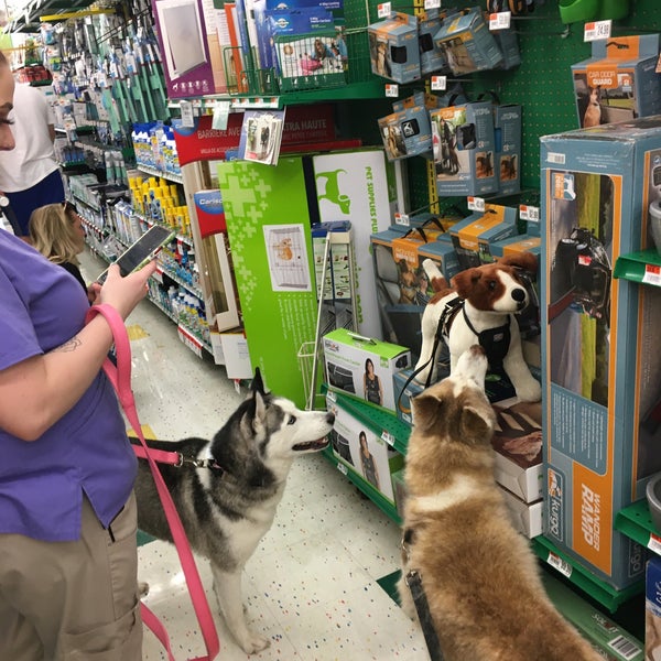 k9 pet supplies warren