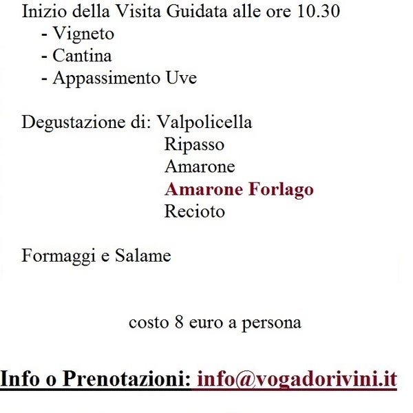 vi segnalo l'evento di domenica 23 ottobre! www.vogadorivini.it