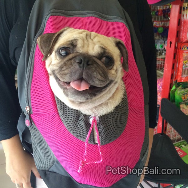 Lucky Pet Bali Jl Raya Kerobokan Canggu No 88x